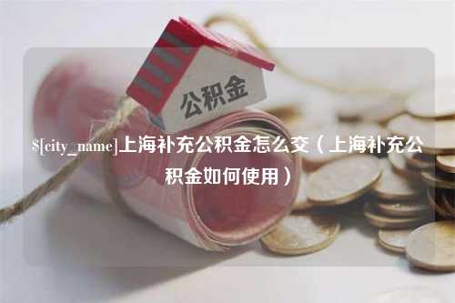 河池上海补充公积金怎么交（上海补充公积金如何使用）