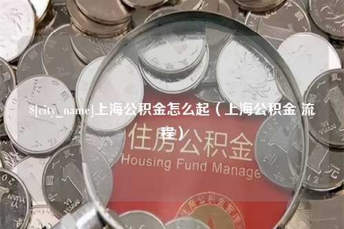 河池上海公积金怎么起（上海公积金 流程）